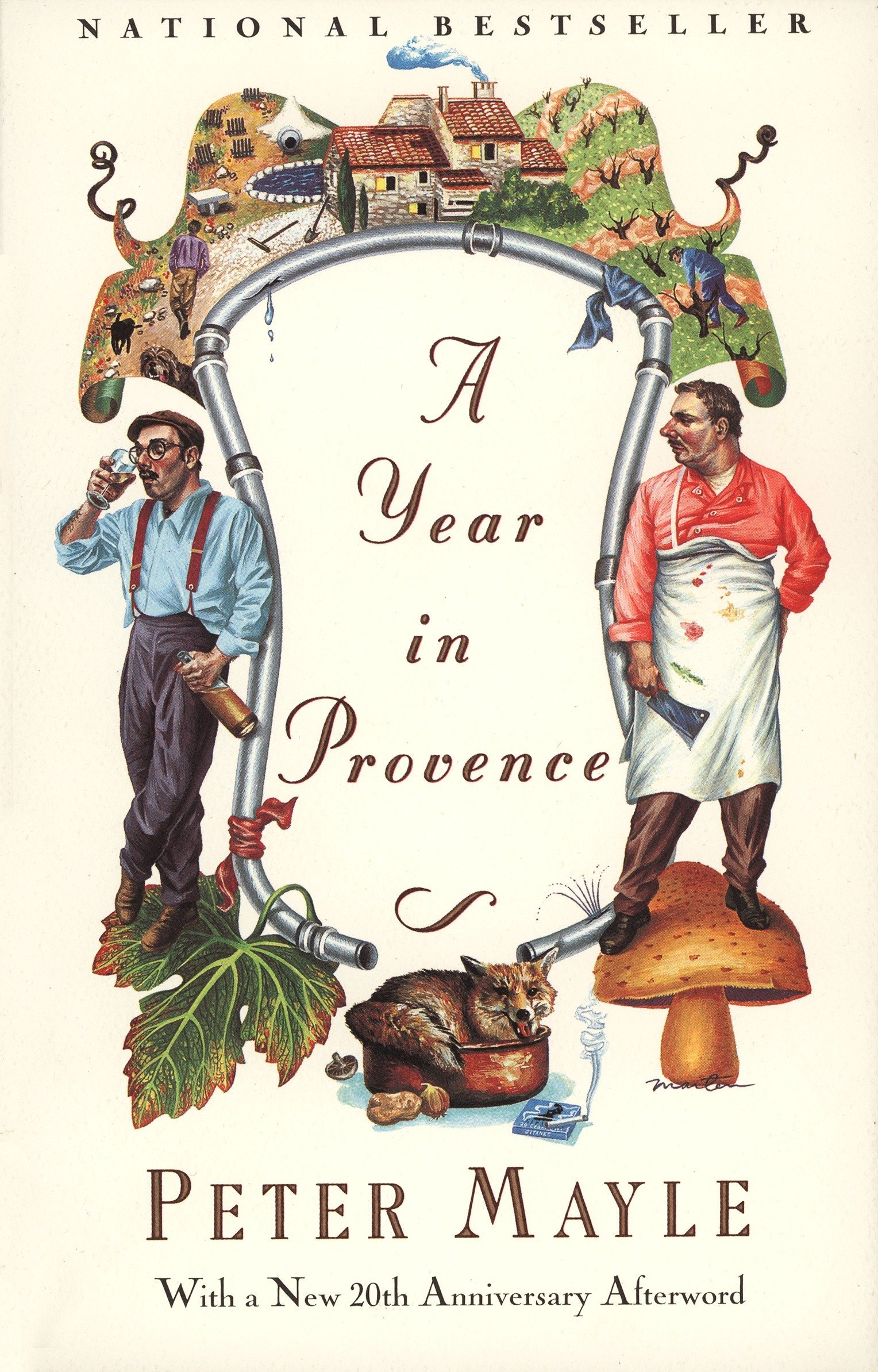 A Year in Provence books about France