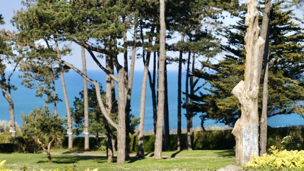 Confinement Week Three in Normandy Carolles