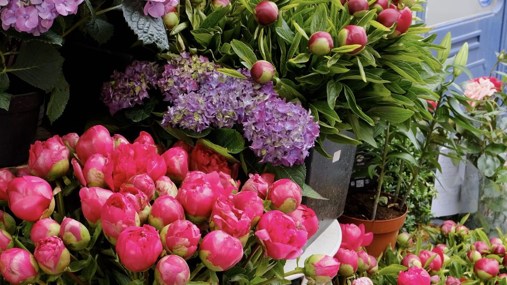 Five Friday Finds from France Peonies
