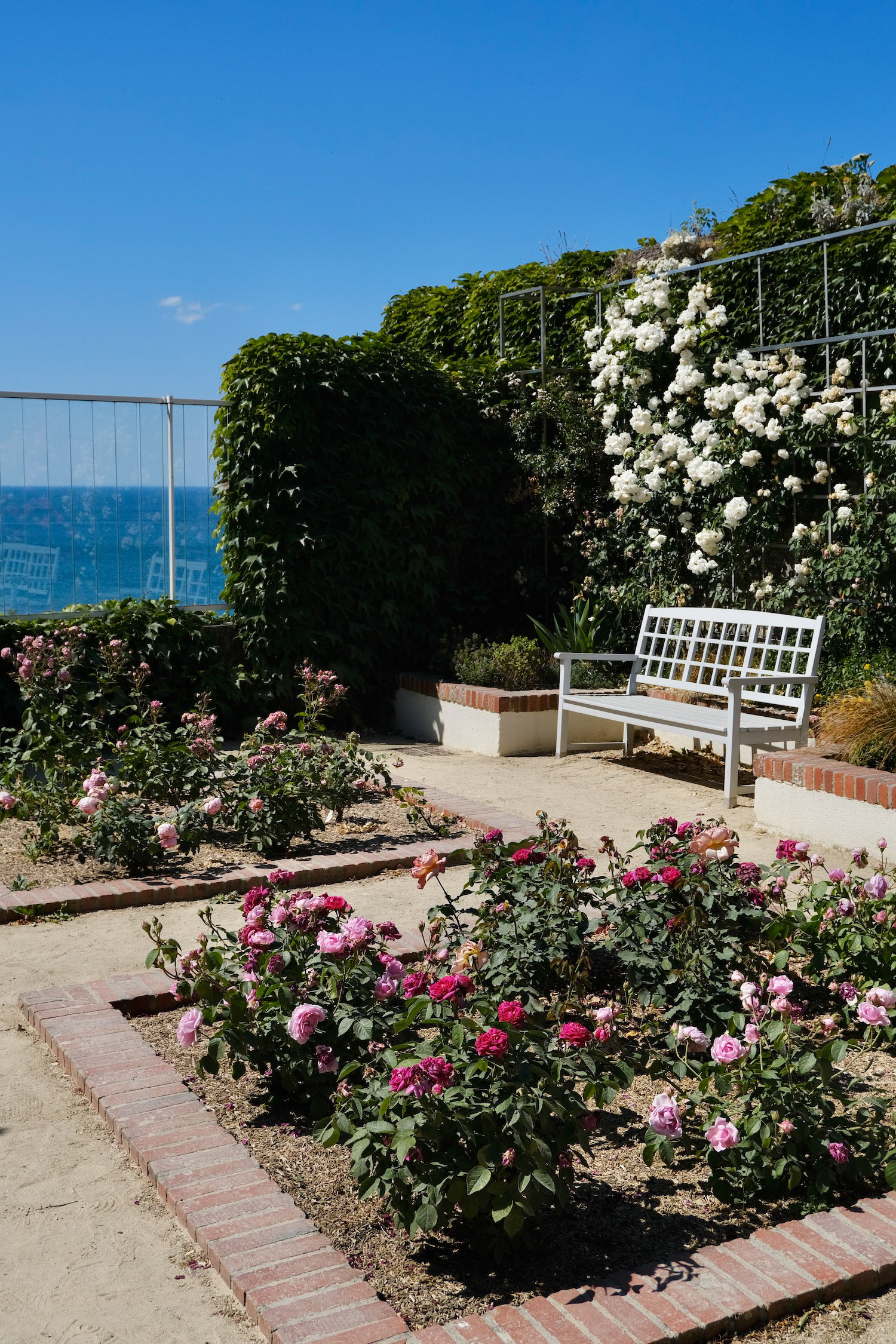 Rose garden at the Christian Dior Museum