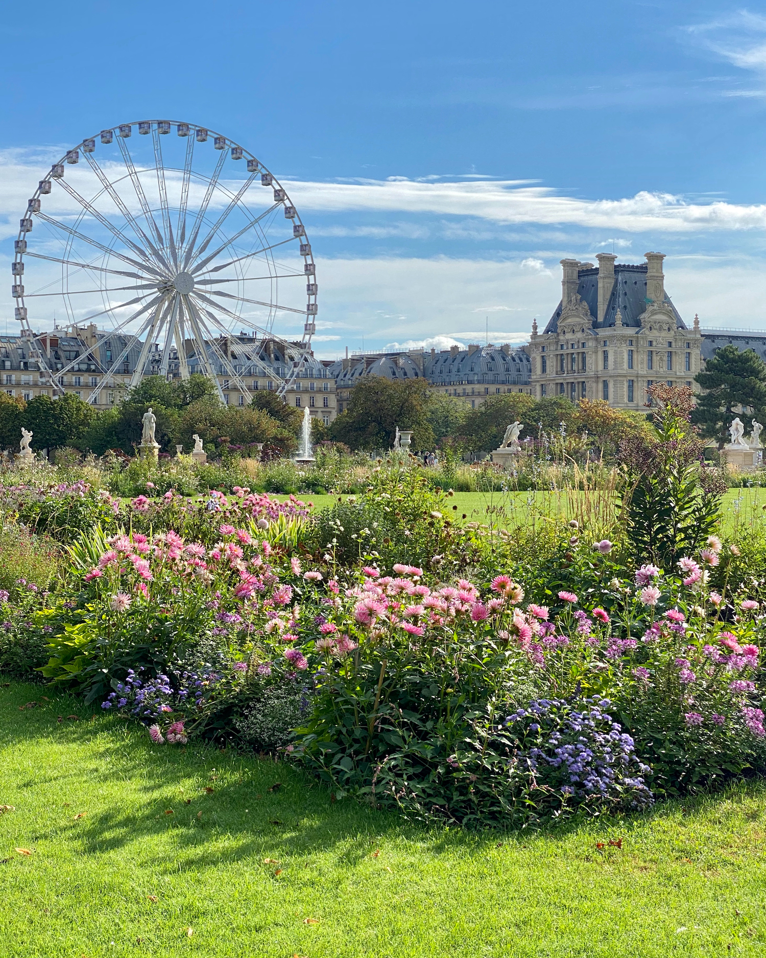 Tuileries flower beds
