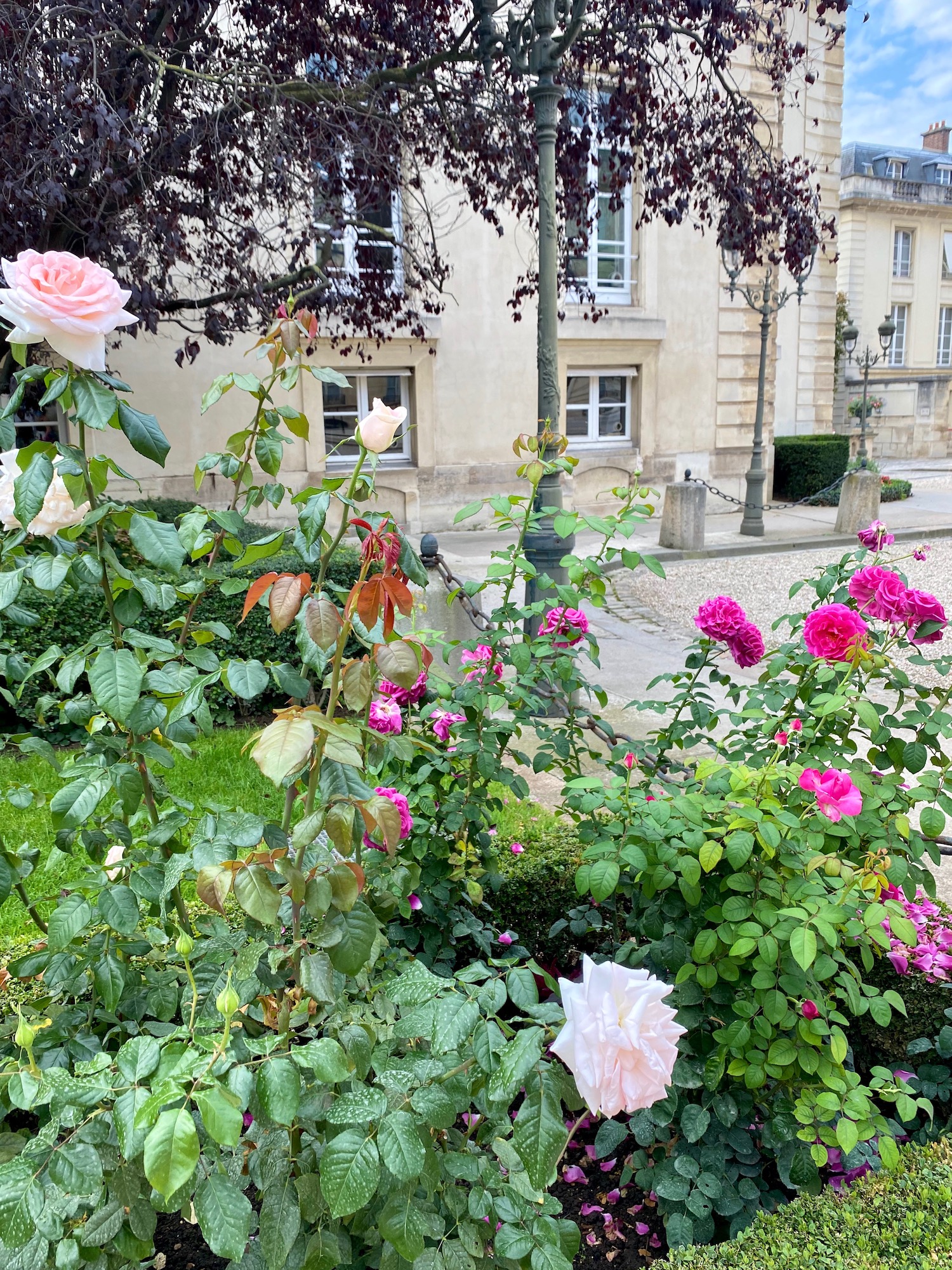 Assemblée Nationale rose garden heritage days visit
