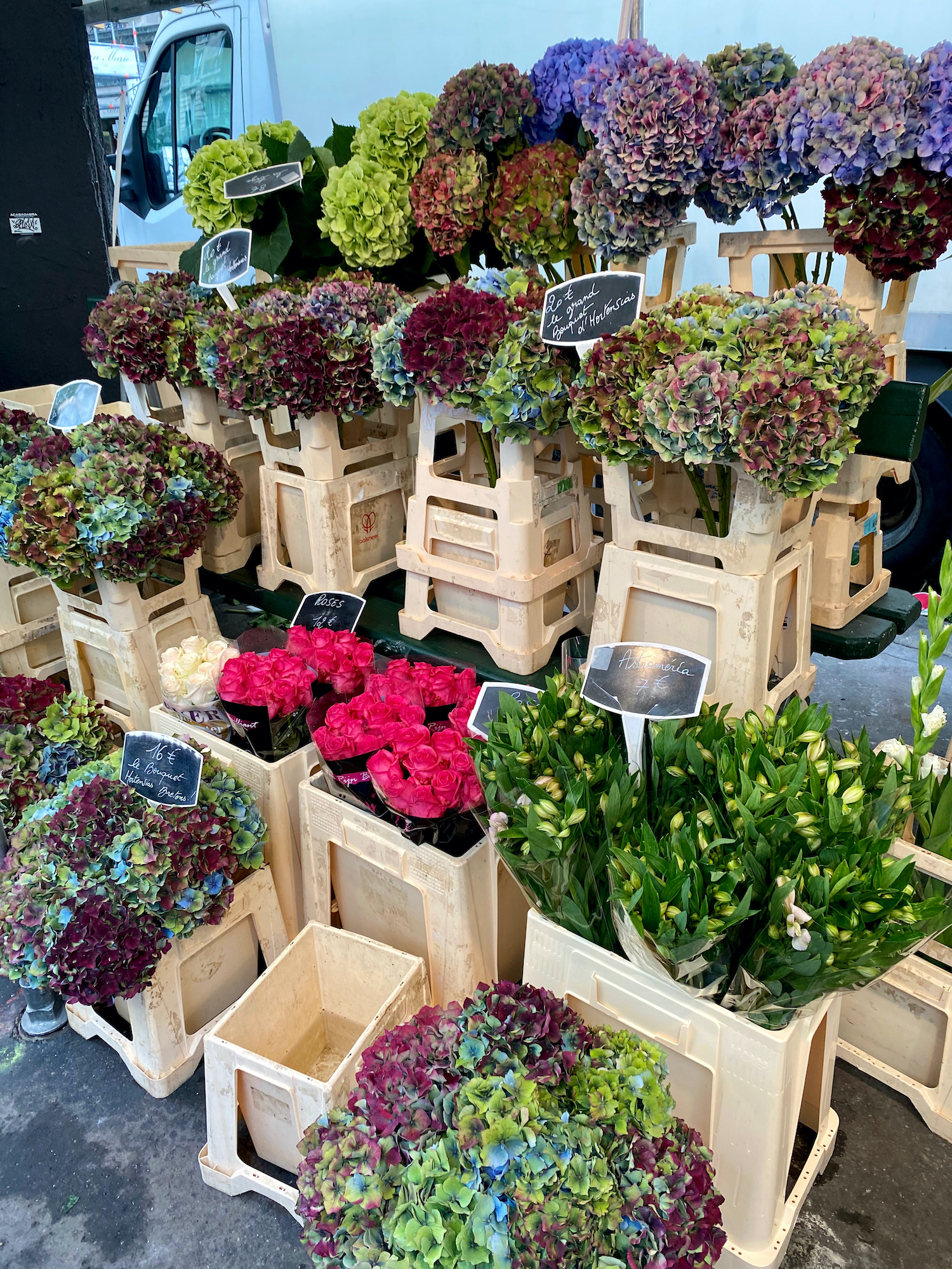 fall flowers at Marché Raspail