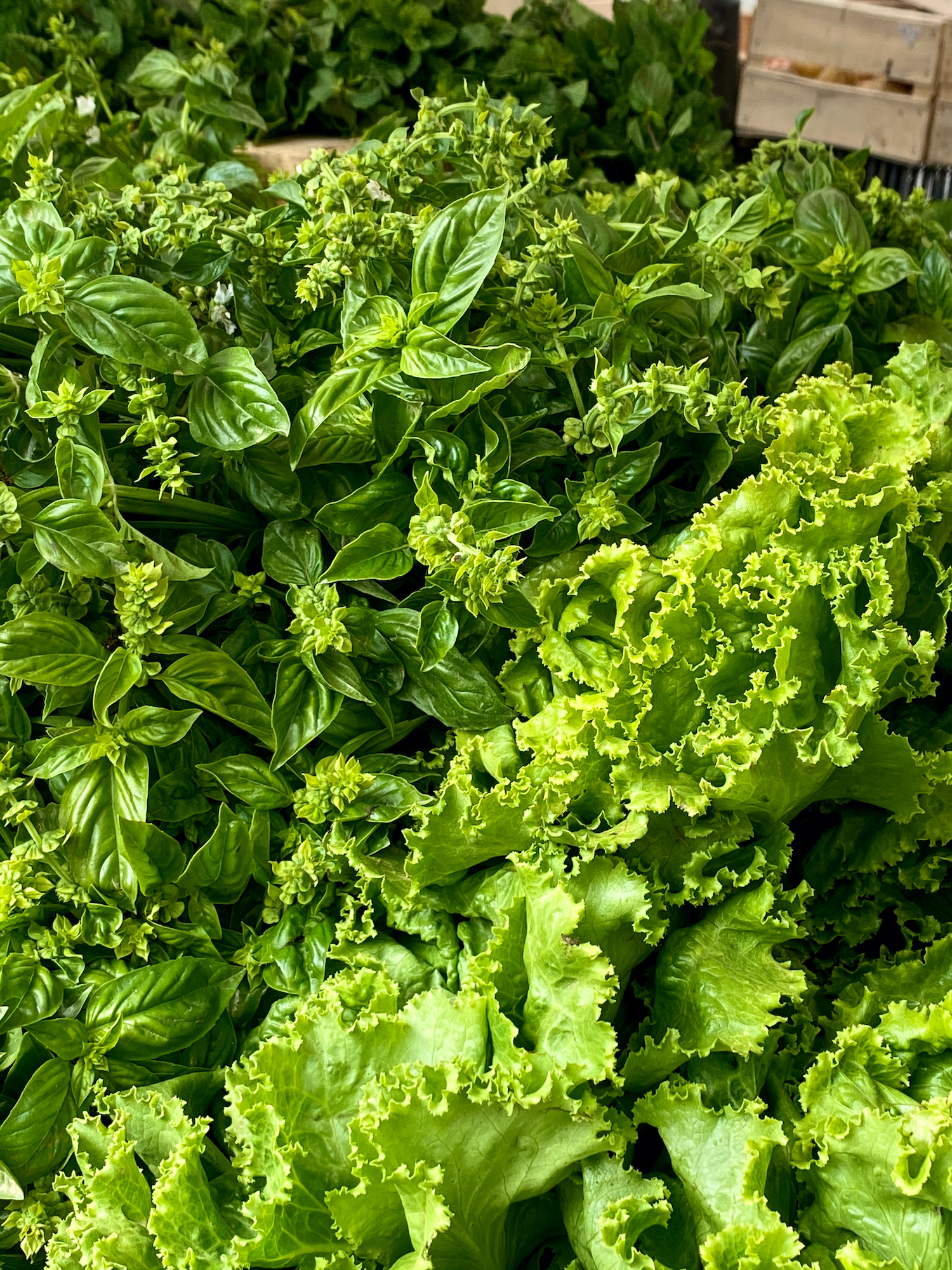 Fresh produce at Marché Raspail