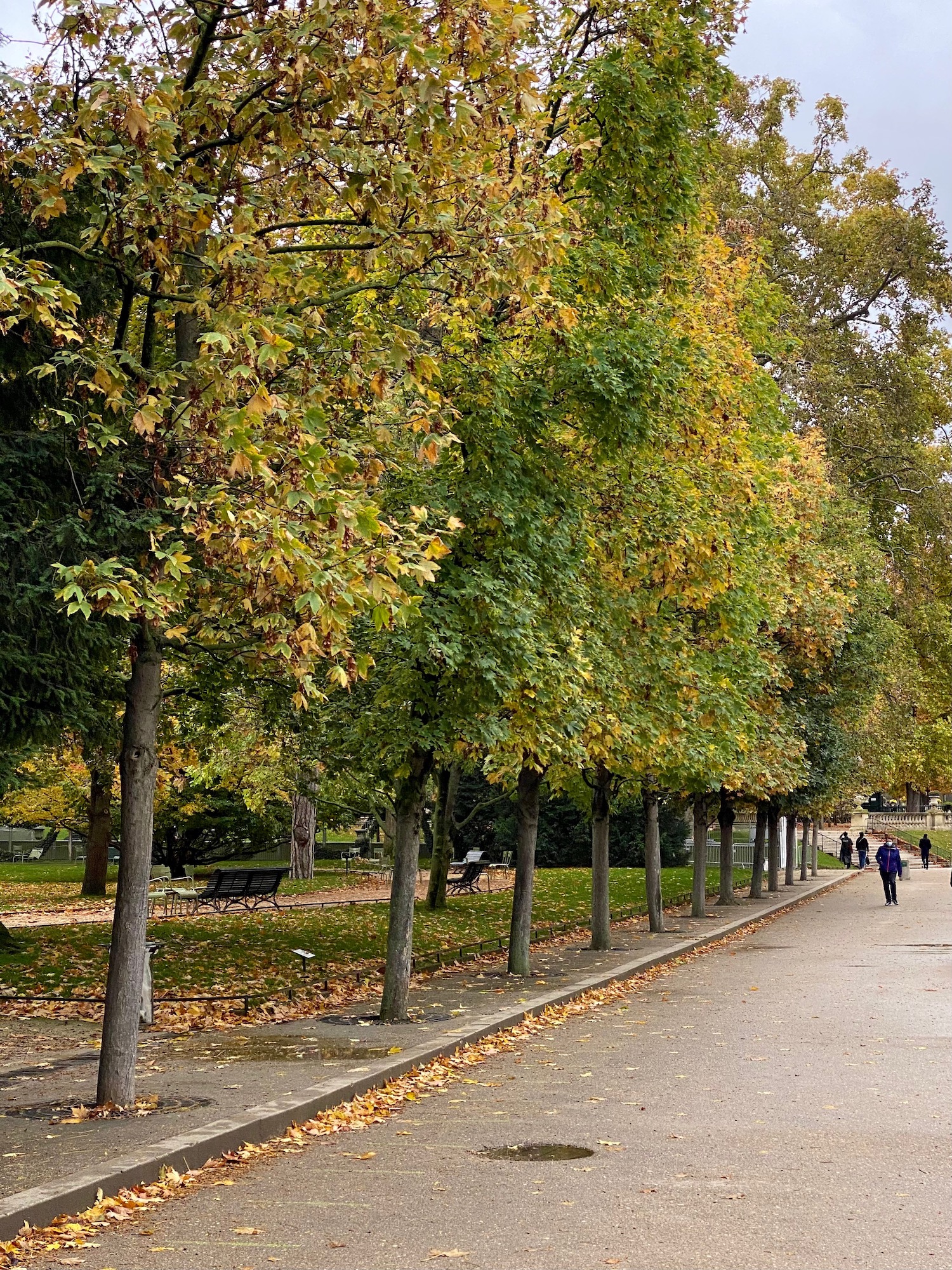 A Walk through Jardin du Luxembourg in the fall