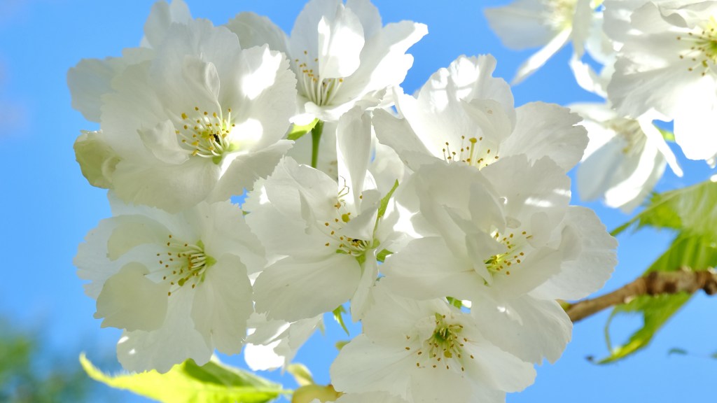 french-inspired easter featured