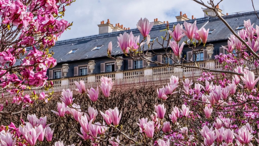 weekend links week 14 featured