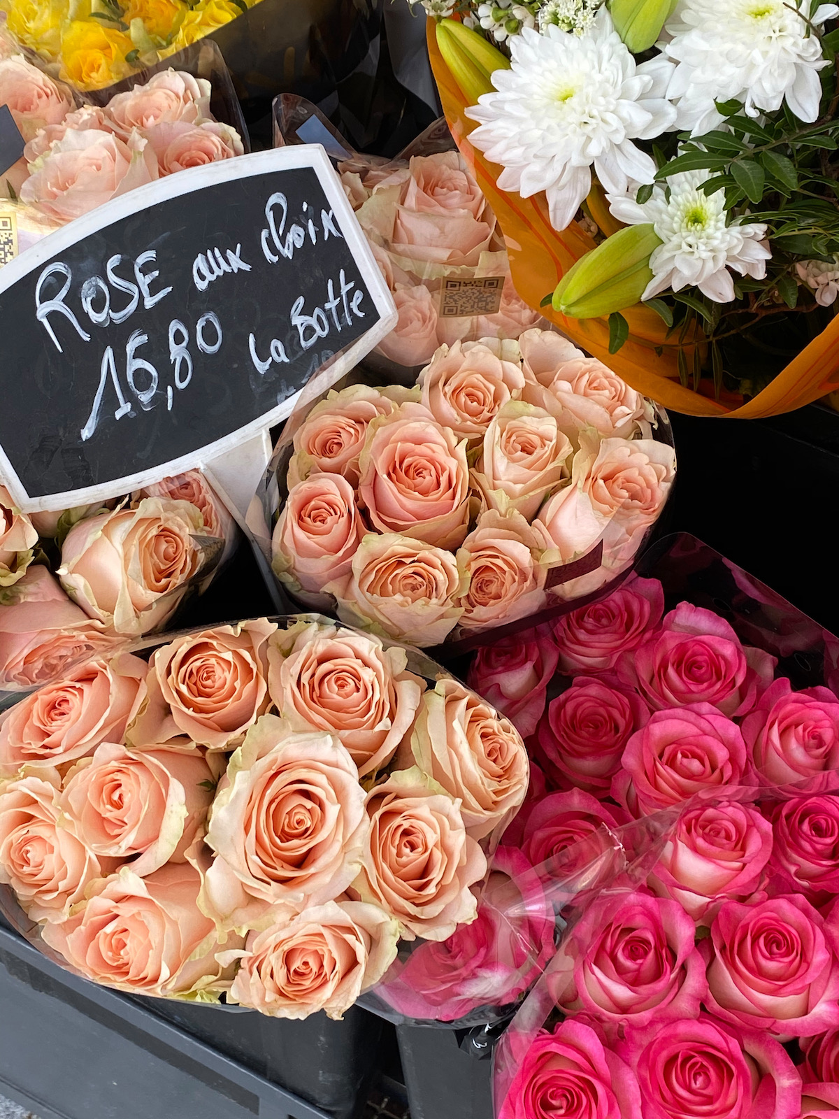 neuilly roses
