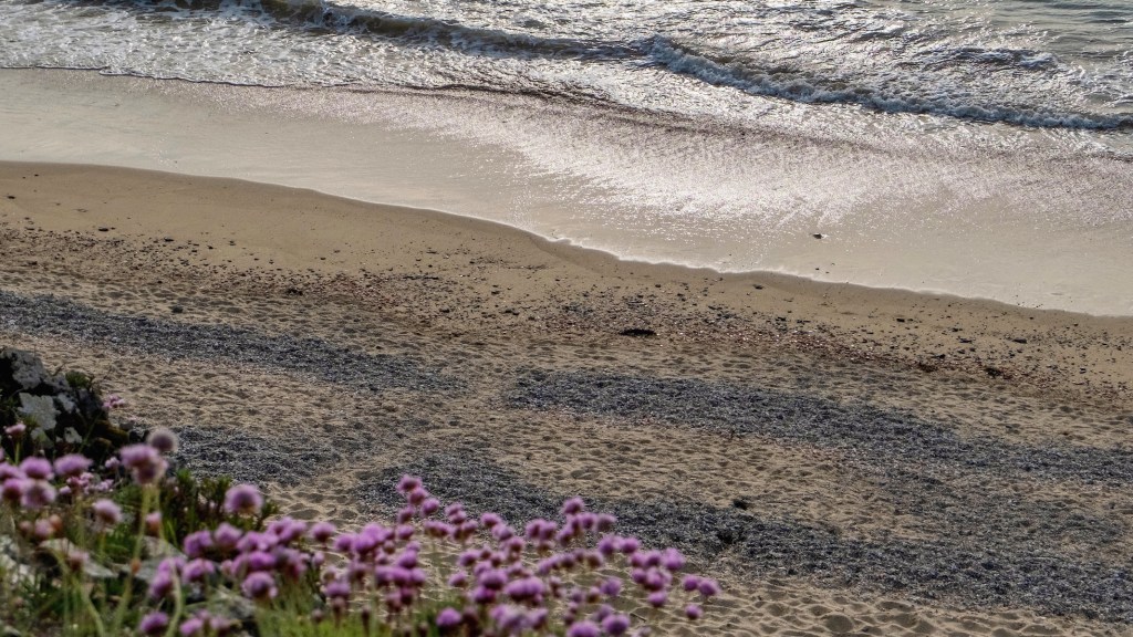 weekend getaway to carolles, normandy