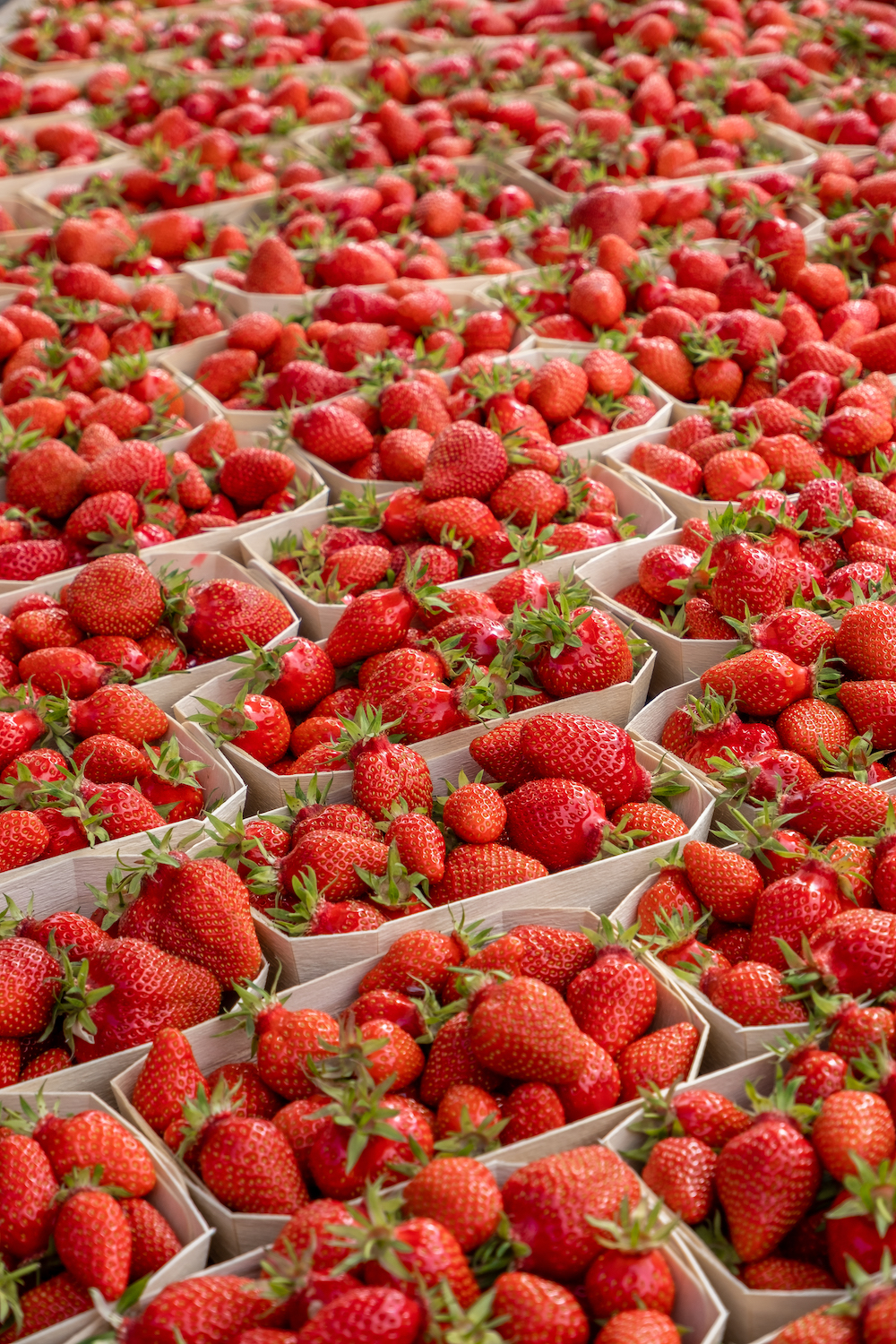 normandy market strawberries