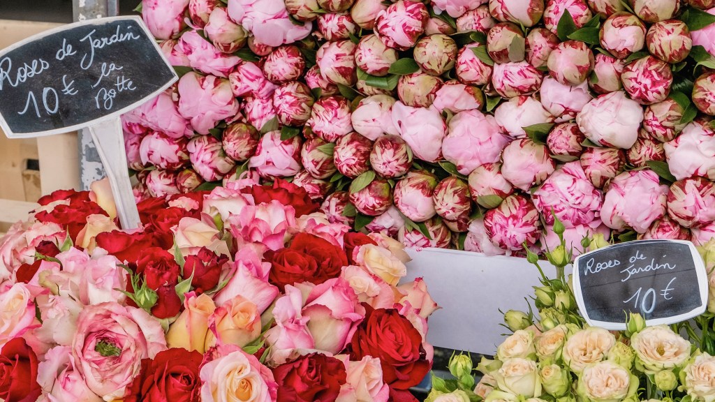 peonies and garden roses at the marché featured
