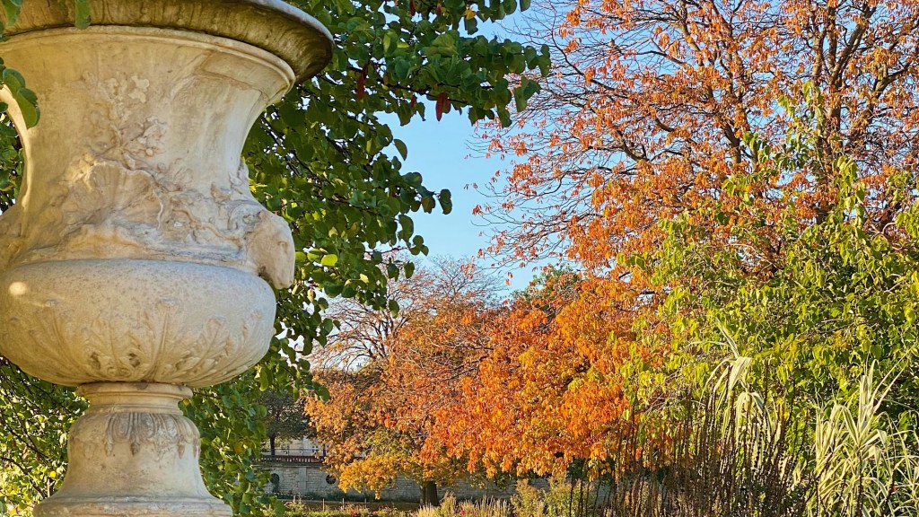 orange leaves in the tuileries featured weekend links week 42