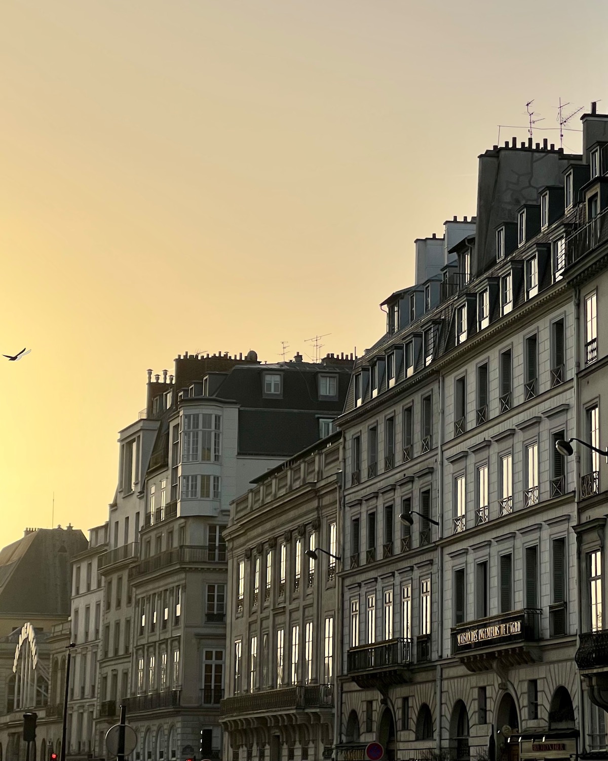 weekend links week eight morning light quai voltaire