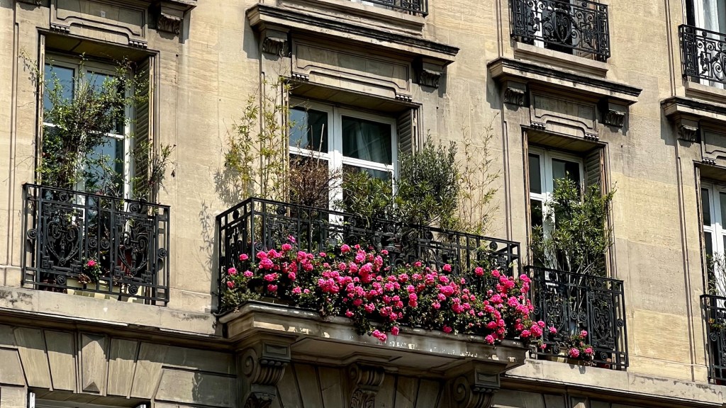 pink geraniums featured weekend links week 20