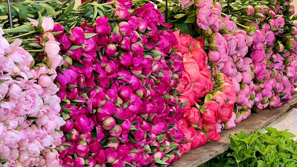 parisian peony stacks weekend links week 23 featured