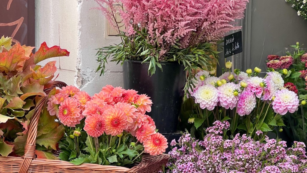 weekend links week 40 featured