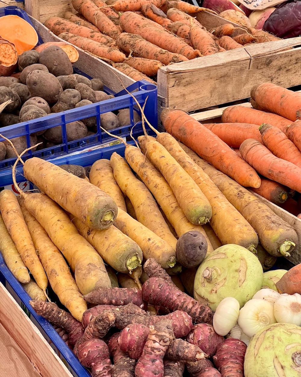 colorful carrots at the marché raspail