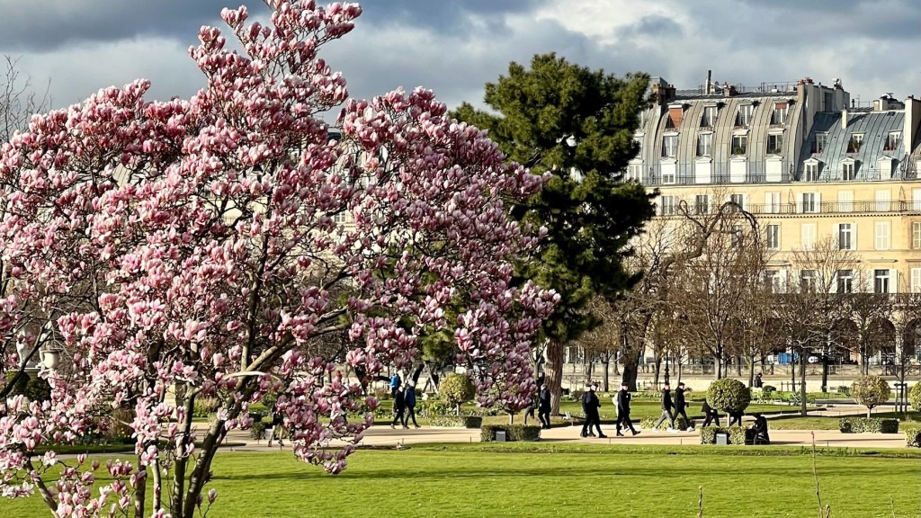 weekend links week 12 magnolia tree tuileries featured