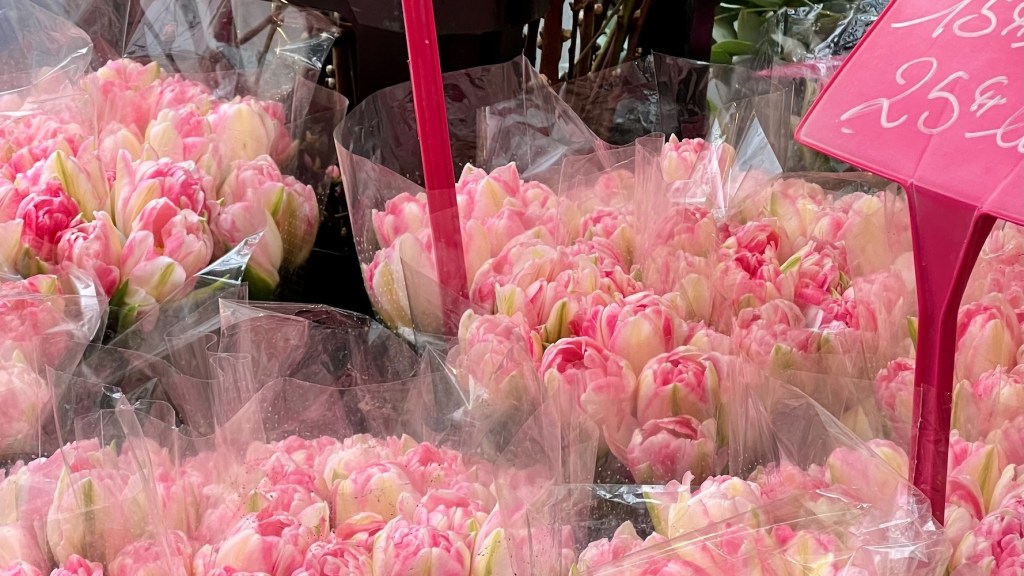 weekend links week 13 pink tulips featured