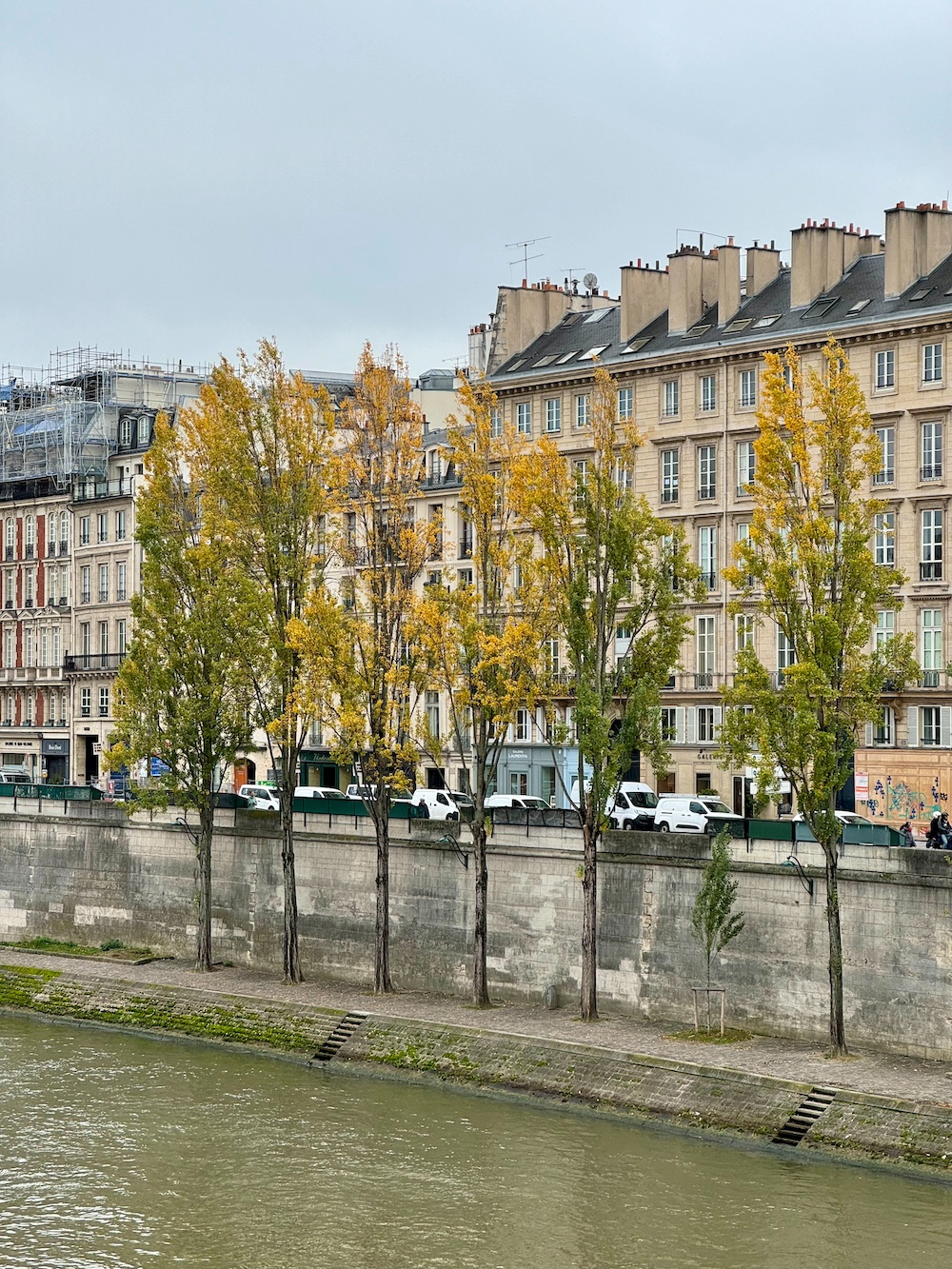 changing fall leaves on quai voltaire in paris