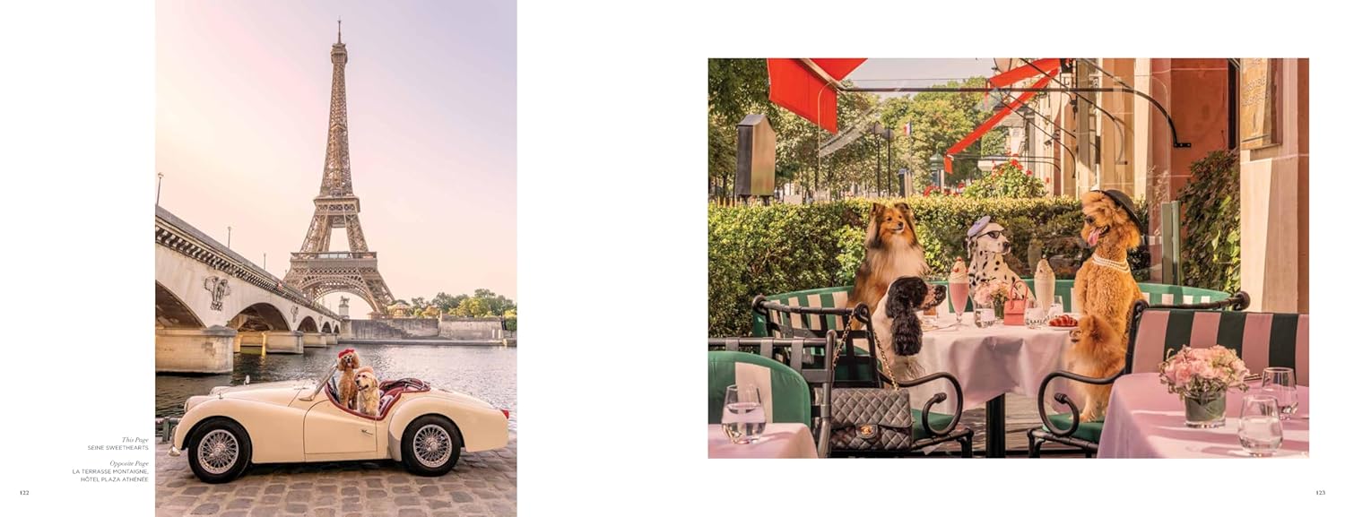 gray malin dogs book paris