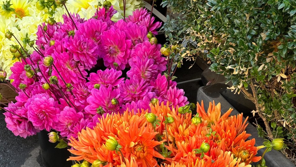 september 2024 recap featured