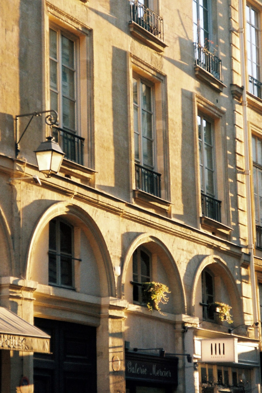 february 2025 recap rue de l'universite morning light paris