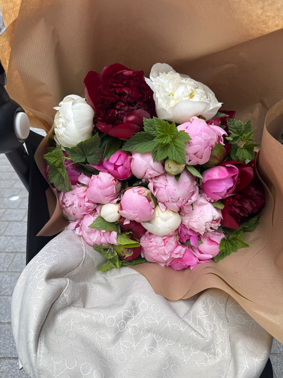 les fleurs de sanji peonies