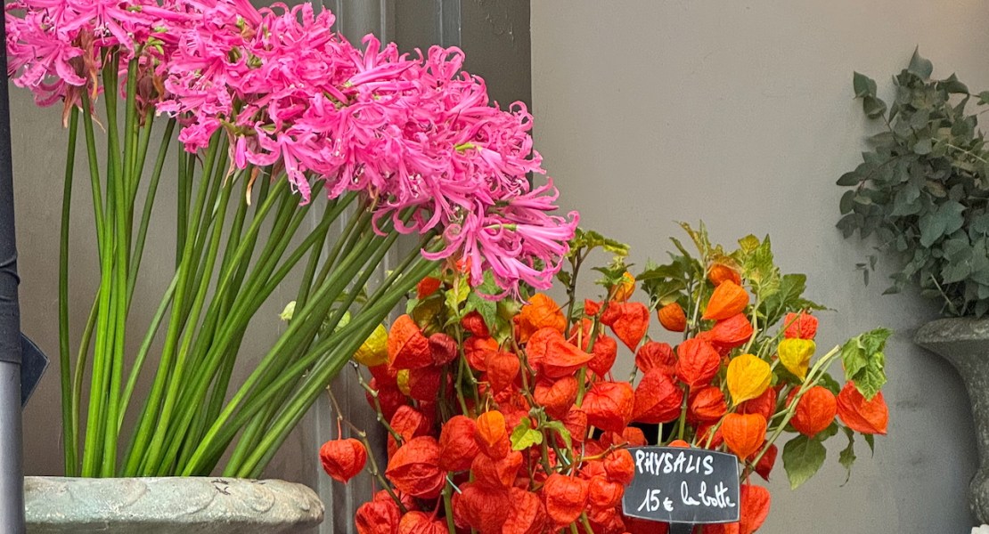 october 2025 recap featured